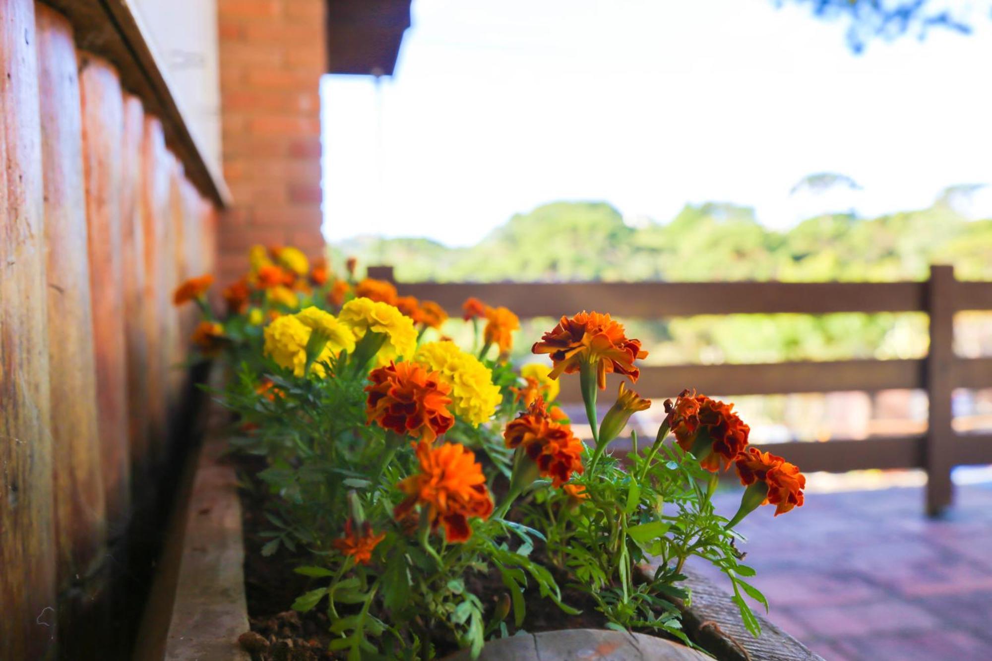 Villa Iturri Campos do Jordao Dış mekan fotoğraf